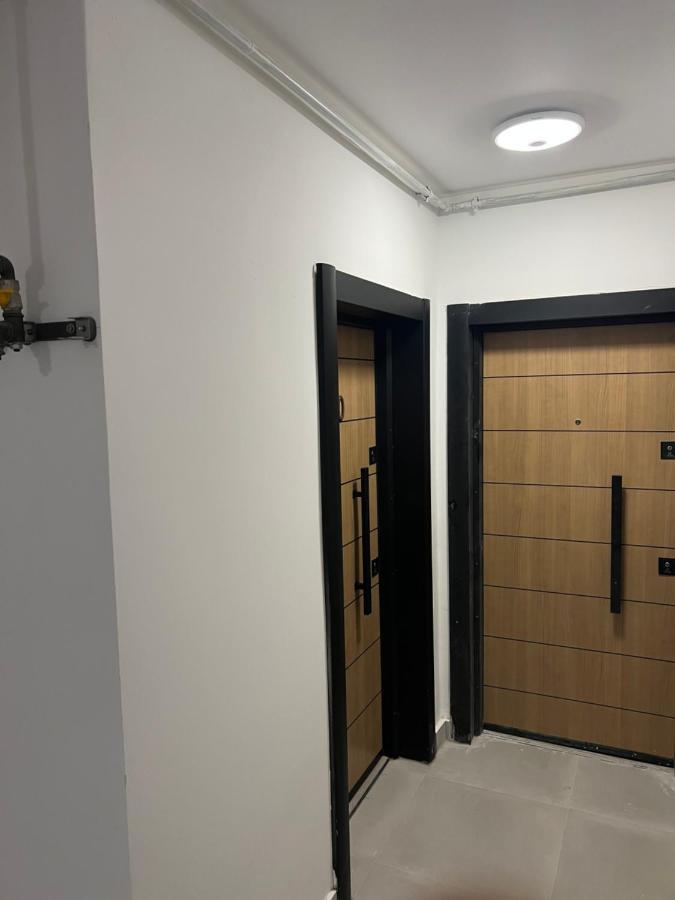 Apartament Alex Mangalya Dış mekan fotoğraf